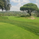 Putting green ampliado.