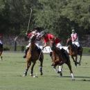 El Abierto de Madrid Copa Volvo de polo ha sido un torneo muy disputado. Foto: Miguel Ros