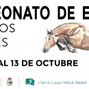 Cartel Campeonato de España Caballos Jóvenes 2019.