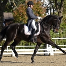 Adín Rodríguez, gran triunfador del CDN3*, durante el Gran Premio. Foto: OcioCaballo.com