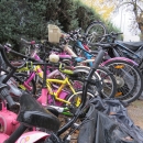 Bicicletas estacionadas en el Club.