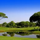 Campo de golf del Real Club Vista Hermosa.