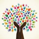 Solidaridad